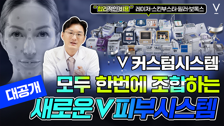 새로운 v피부시스템